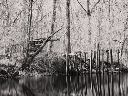 Camp site along the river