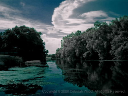 Reflections on the river