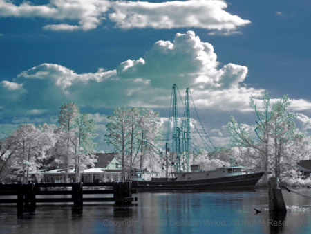 Shrimper docked