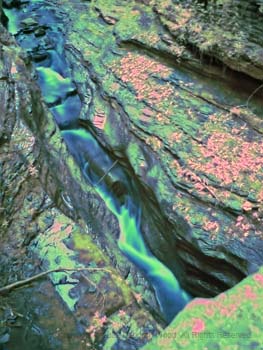 Along the gorge