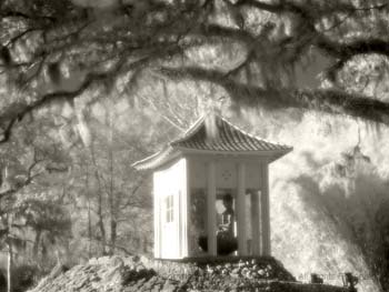 Buddha shrine