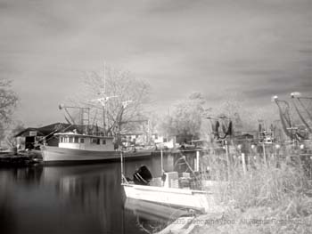 Fishing boats on a canal