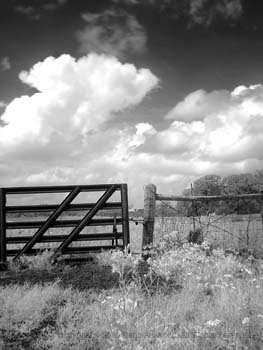 Locked gate