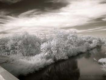 On a bridge