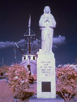 Our lady star of the sea