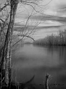 Winter views on the bayou