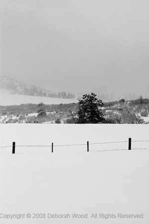 On the fence