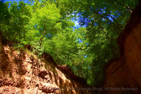 Top of the cliff