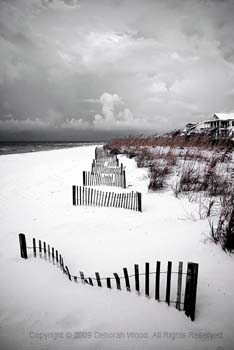 Sand fences