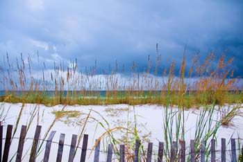 Sand grass and fences